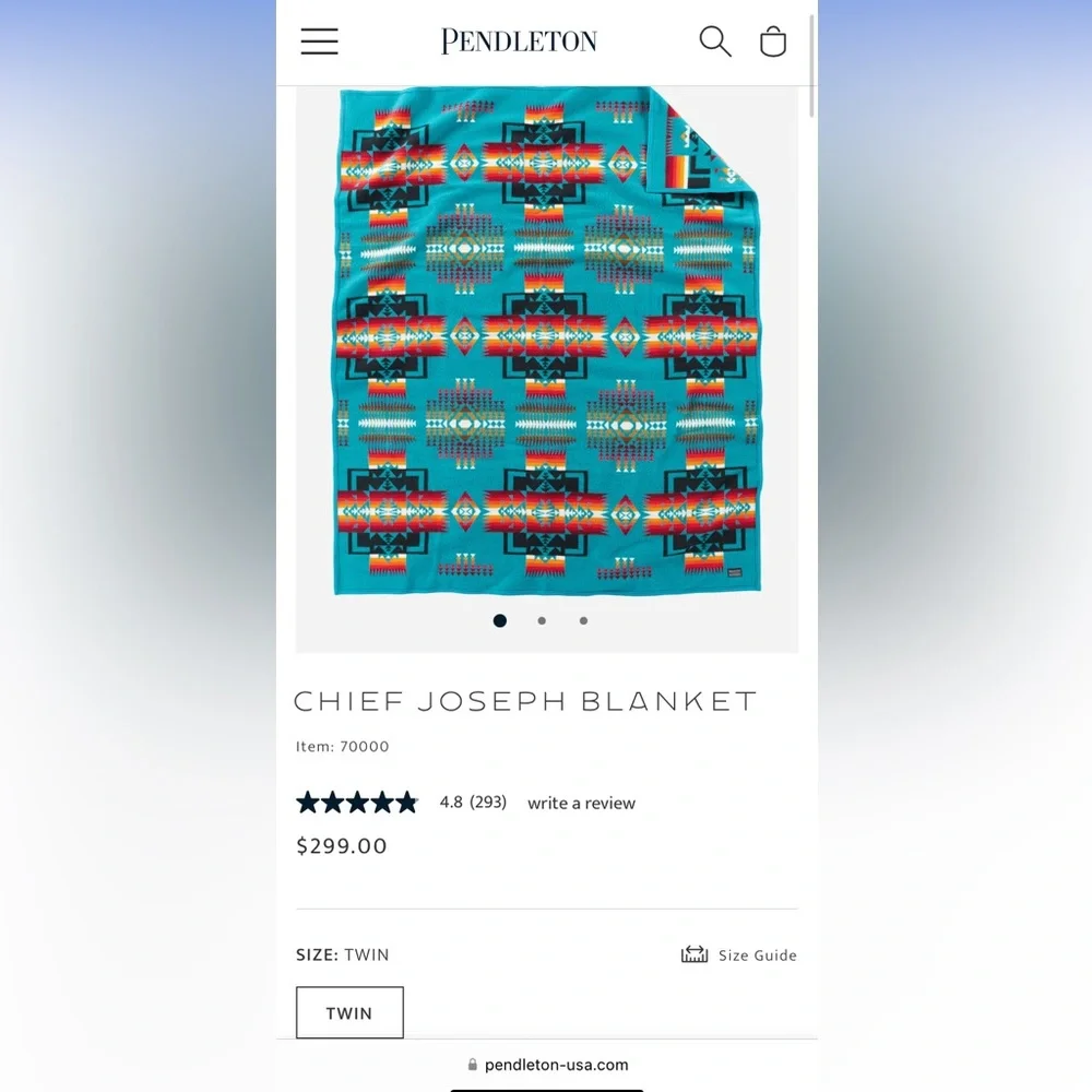 New Pendleton Chief Joseph Blanket (no fringe) - Picture 5 of 6